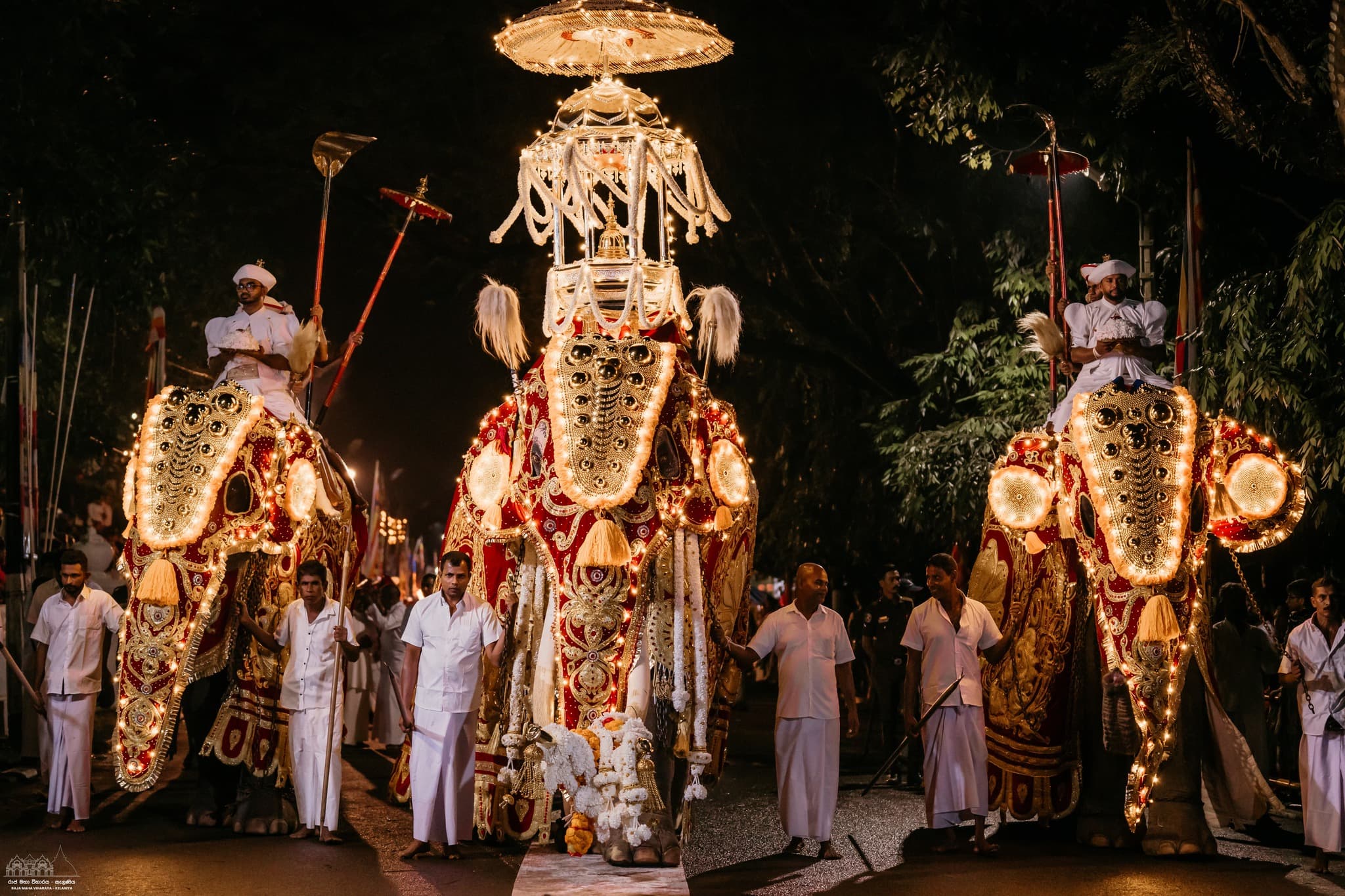 Festive Night Splendor