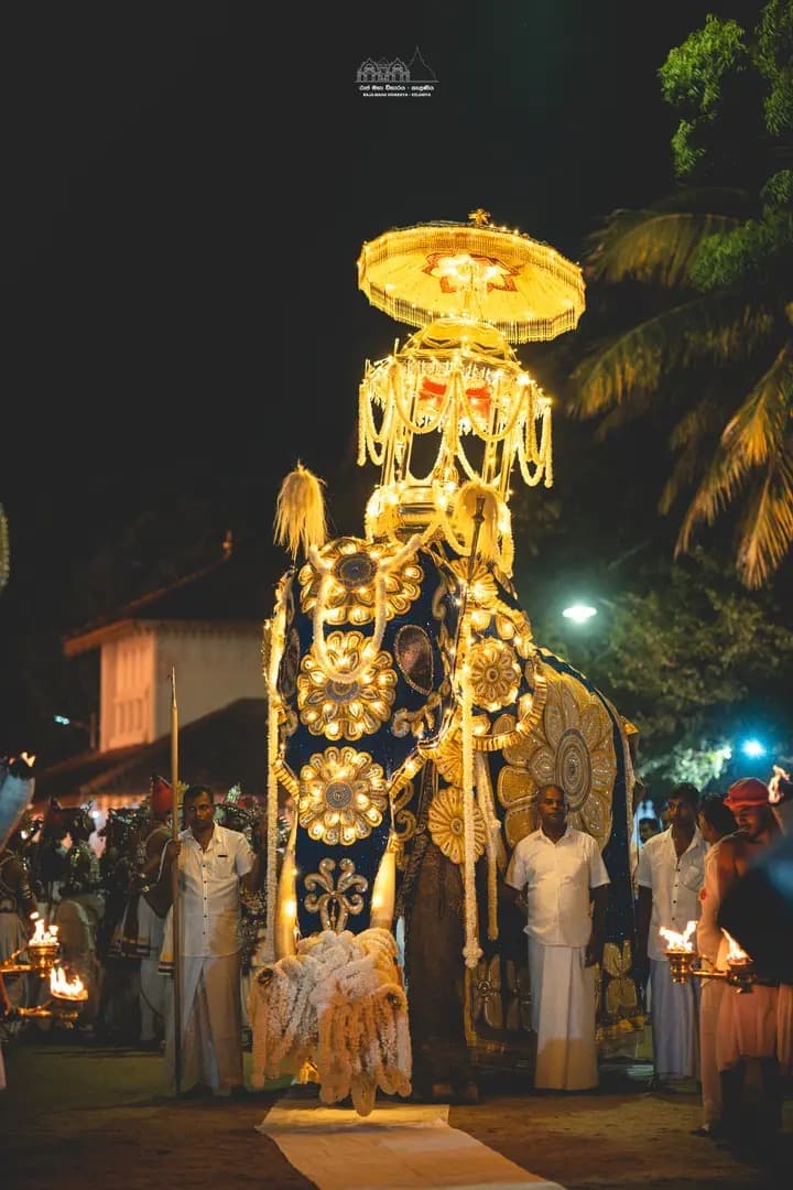 Kandula, the magnificent sacred tusker of Kelaniya