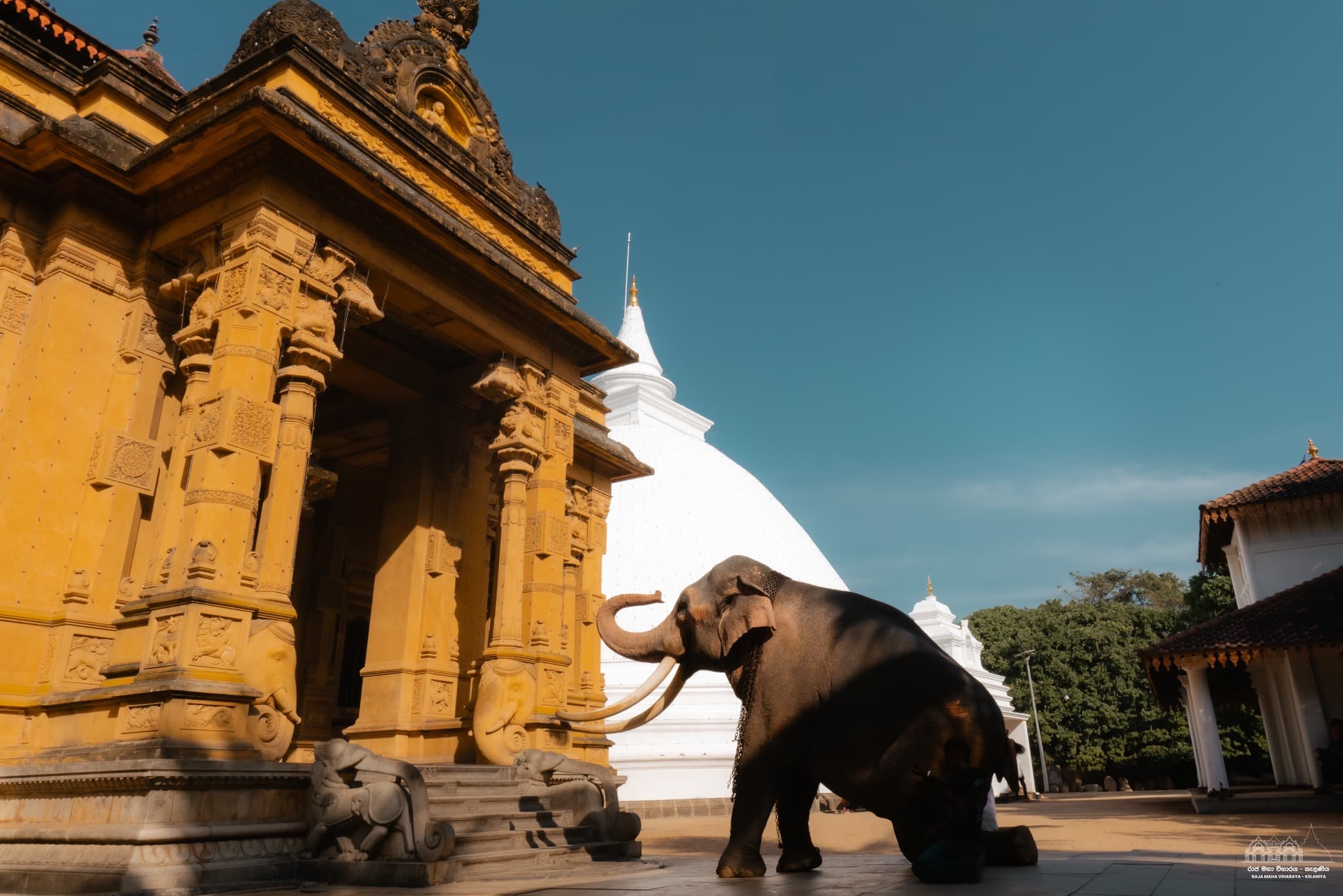 Kelaniya Raja Maha Viharaya temple exterior showing golden architecture